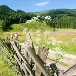 Meizeit Hotel Filzmoos