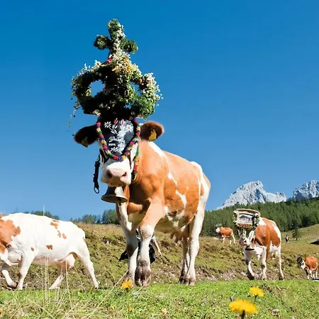 Meizeit ホテル フィルツモース